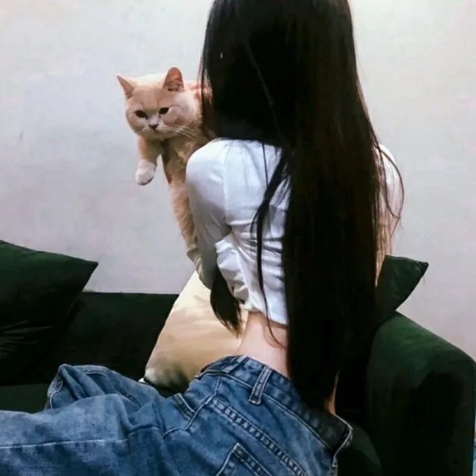蠢爱三人行